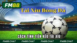 Kèo Tài Xỉu Là Gì? Cách Bắt Kèo Pro Nhất Mọi Thời Đại