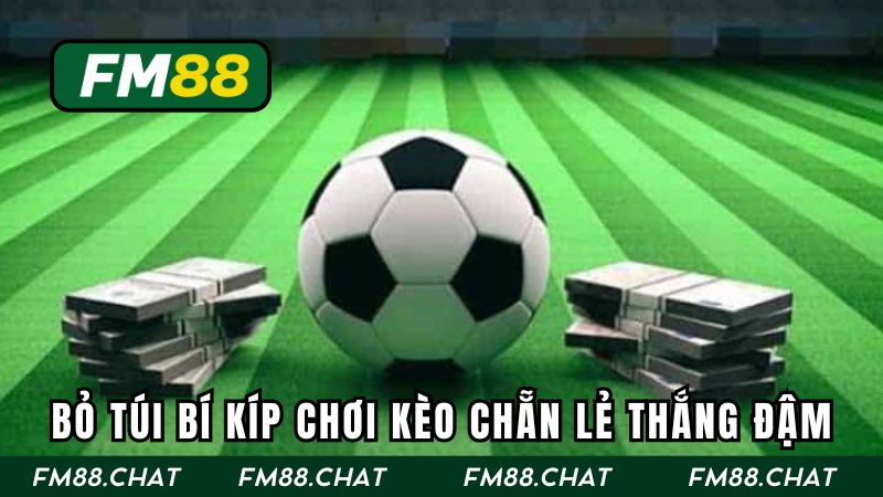 Bỏ túi những chiến lược tham gia bất bại