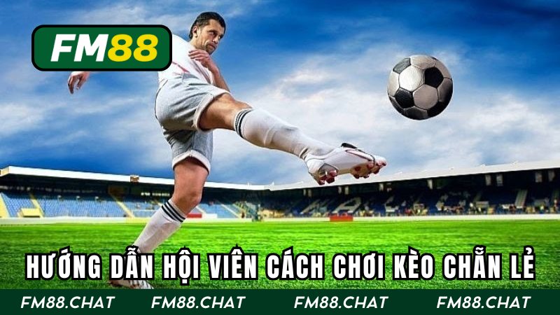 Bật mí quy trình đặt cược siêu đơn giản