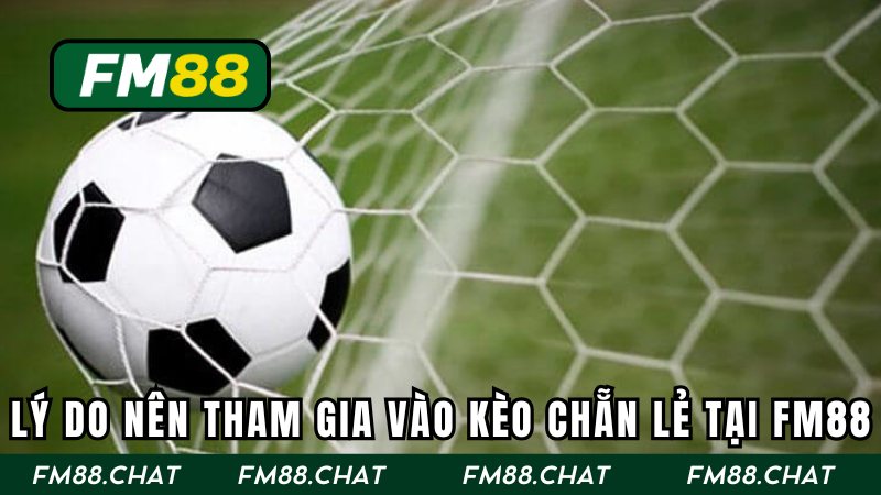 Sức hấp dẫn khi hội viên tham gia tại nhà cái hàng đầu